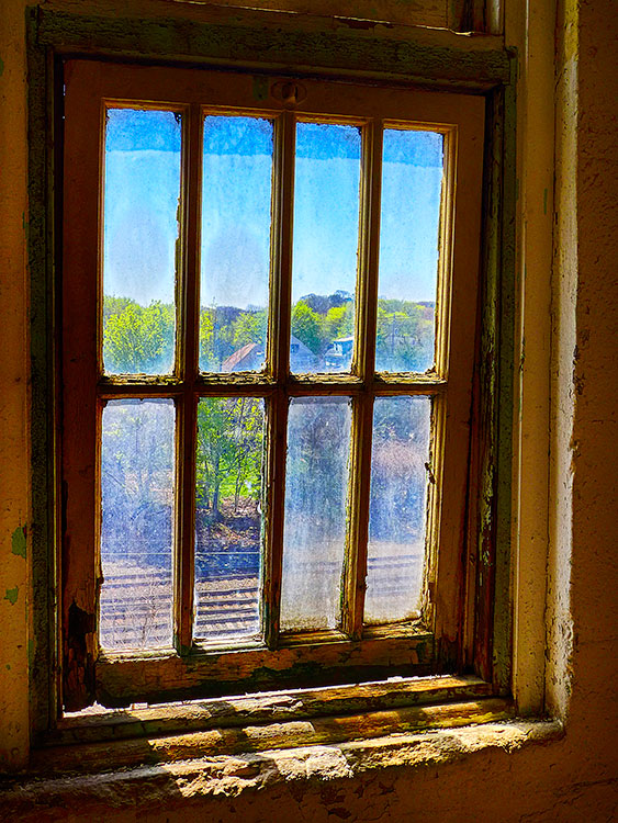 Window