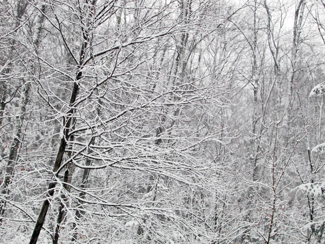 After the Storm, January 14, 2005